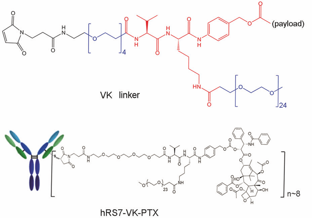 Fig.3 Molecular structures of antibody-taxiod conjugates.